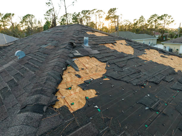 Best Roof Insulation Installation  in Lodi, OH